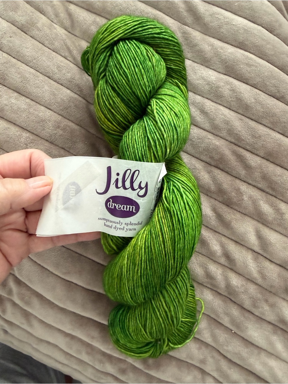 Dream Jilly  Green Hand-Dyed Yarn